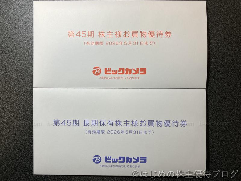 ビックカメラ株主優待券