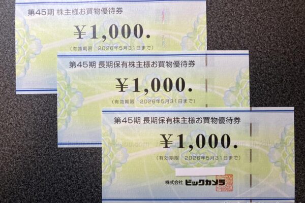 ビックカメラ株主優待券
